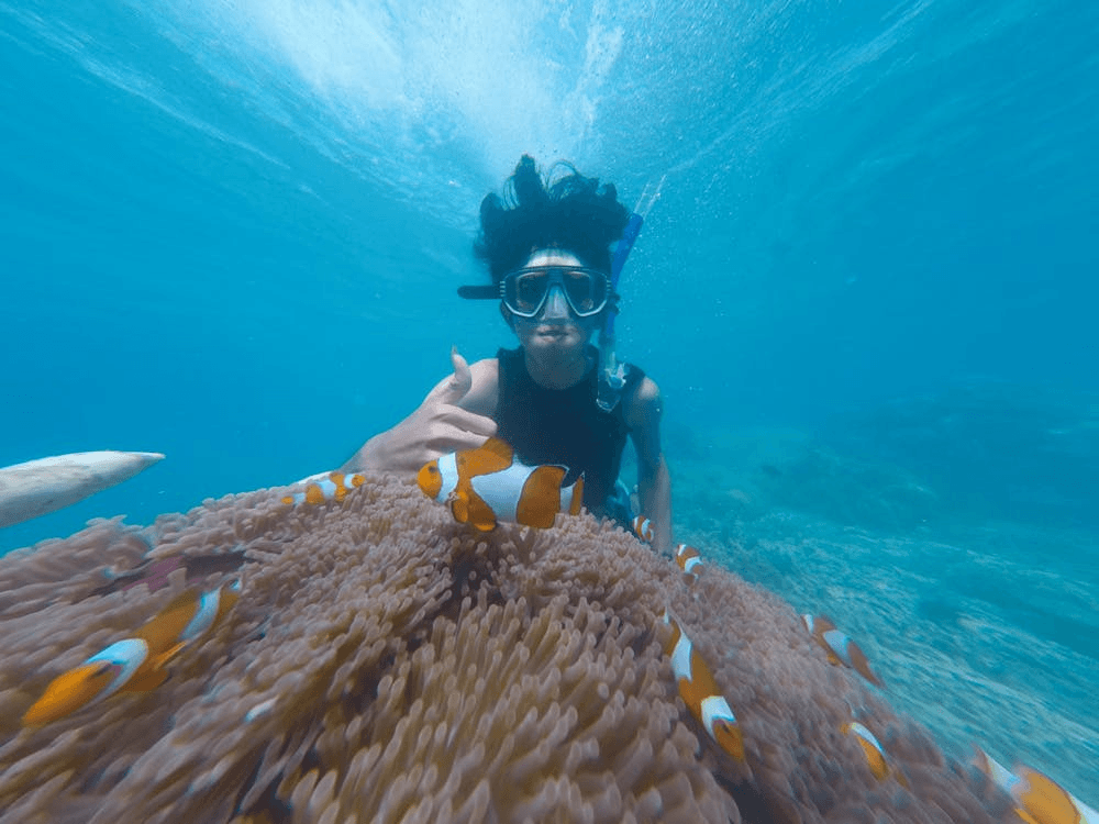 A person snorkelling near coral and clownfish, a relaxing water sport in Dubai for exploring shallow marine life.